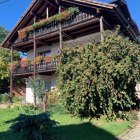 Gästehaus zum Rhein Rheinhausen Exterior foto